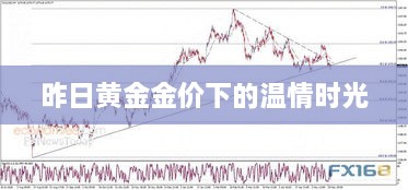 昨日黄金金价下的温馨时光