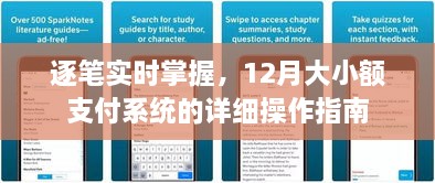 12月大小额支付系统实时操作指南，逐笔掌握详细操作步骤