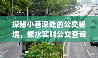 探秘小巷深处的公交秘境，修水实时公交查询路线之旅