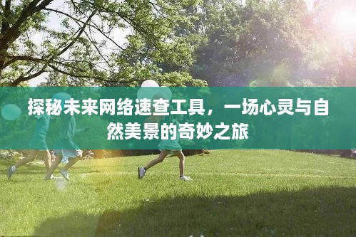 未来网络速查工具揭秘，心灵与美景的梦幻之旅