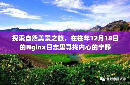 Nginx日志中的自然美景探索之旅，寻找内心的宁静