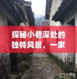 时光深处的相机维修小店，小巷风景的独家探秘