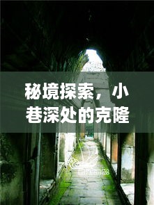 秘境探索，克隆时光馆背后的历史数据之旅——十二月十八日数据备份之旅