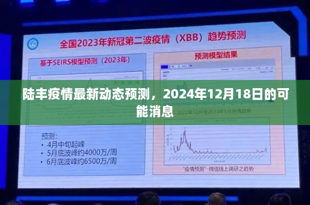 陆丰疫情预测，最新动态及未来消息展望（预计至2024年12月）