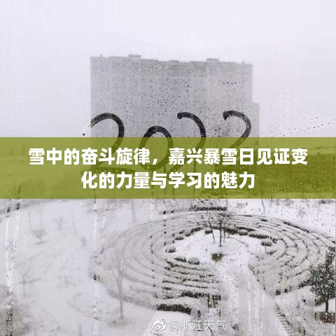 雪日奋斗旋律，嘉兴见证力量与学习的魅力