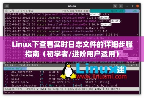 Linux实时日志文件查看详解，初学者与进阶用户的步骤指南