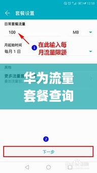 华为流量套餐查询操作指南，实时掌握流量查询技巧，通用至2024年12月前后