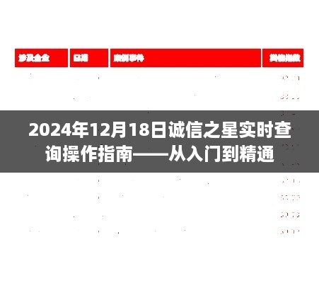 诚信之星实时查询操作指南，从新手入门到精通（2024年12月版）