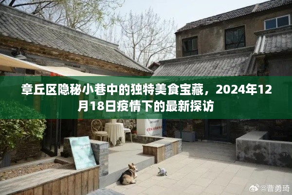 章丘区隐秘小巷美食宝藏，疫情下的最新探访之旅（2024年12月18日）