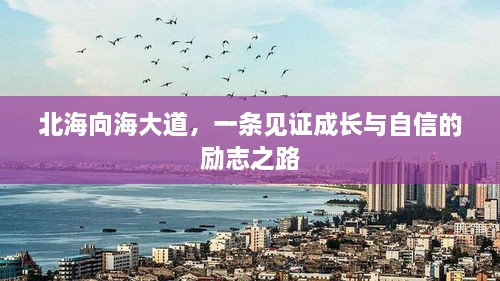 北海向海大道，见证成长与自信的励志之路历程