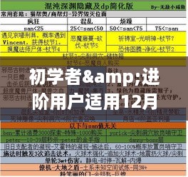 初学者与进阶用户适用的实时共享表格设置全攻略（12月18日版）