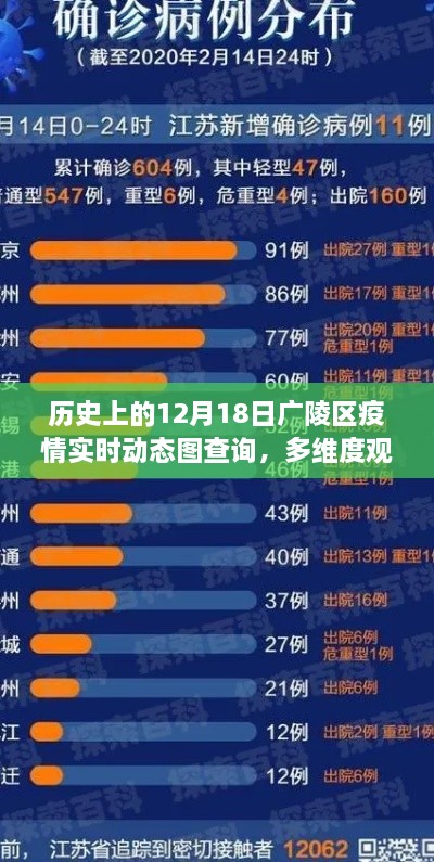 广陵区疫情实时动态图查询，多维度观点分析与历史回顾，12月18日实录