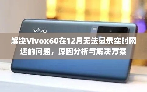 解决Vivox60在12月无法显示实时网速问题，原因分析与解决方案