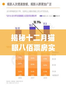 揭秘十二月猫眼八佰票房数据深度解析与洞察，实时数据揭示背后的秘密