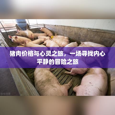 猪肉价格与心灵之旅，探寻内心平静的冒险之路