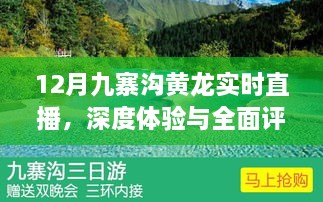 12月九寨沟黄龙深度游，实时直播与全面体验评估