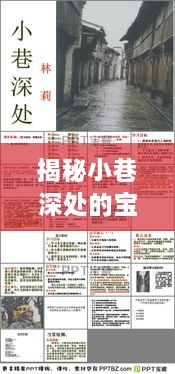 小巷深处的宝藏小店，揭秘实时退税之旅的惊喜发现（12月18日）