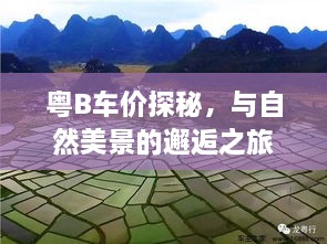 粤B车价探秘，与自然美景相遇，追寻内心宁静的旅程