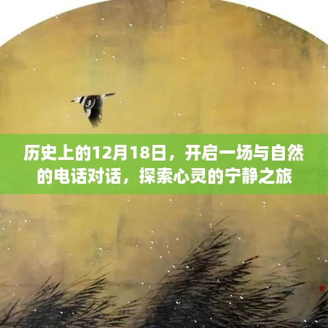 心灵探索之旅，与自然对话的宁静时刻——历史上的12月18日回顾