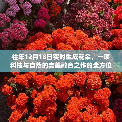 科技与自然的融合之作，全方位评测实时生成花朵技术