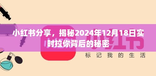 小红书揭秘，特定日期背后的秘密，实时拉你体验揭晓日（2024年12月18日）