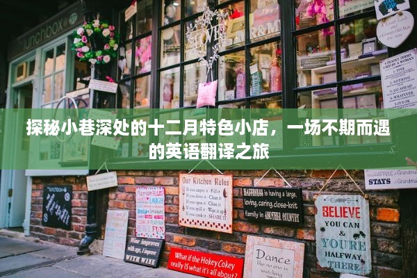 十二月小巷深处的惊喜小店，一场不期而遇的英语翻译之旅