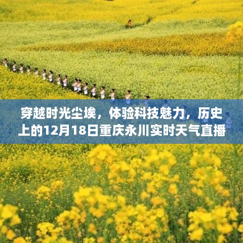 历史上的科技盛宴，重庆永川实时天气直播，高科技产品全新亮相，体验科技魅力穿越时光尘埃