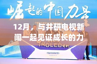 见证成长的力量，井研电视新闻12月回顾与前瞻