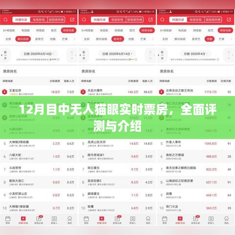 12月热门电影实时票房追踪与全面评测