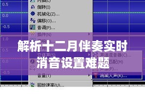 十二月伴奏实时消音设置挑战解析