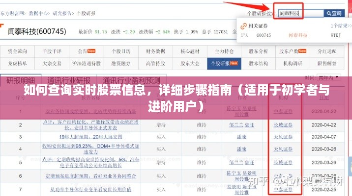 详细步骤指南，如何查询实时股票信息（适合初学者与进阶用户）