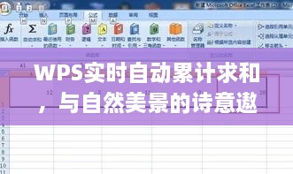 WPS实时自动累计求和，与自然美景共绘诗意生活