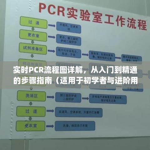 实时PCR流程图详解，从入门到精通的全方位指南