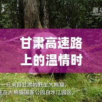 甘肃高速路上的美好时光，同行共享，温情瞬间