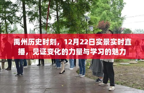 禹州历史时刻，见证变化的力量与学习的魅力——12月22日实时直播