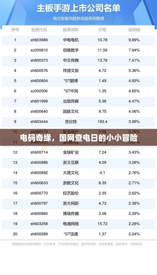 电码奇缘，国网查电日探秘之旅