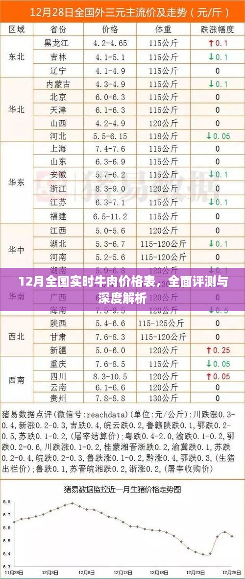 12月全国牛肉价格全面解析与深度评测表