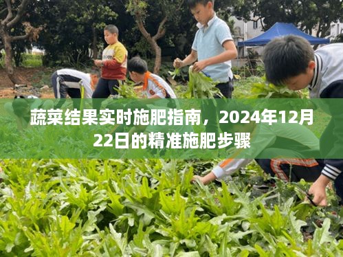 蔬菜结果实时精准施肥指南，2024年12月22日施肥步骤详解