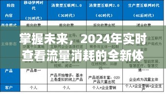 掌握未来流量动态，实时查看流量消耗的全新体验（2024年）