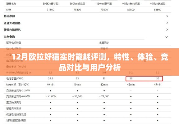 12月欧拉好猫实时能耗评测，特性、体验、竞品对比及用户分析详解