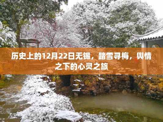 12月22日无锡踏雪寻梅，心灵之旅与舆情的交汇点