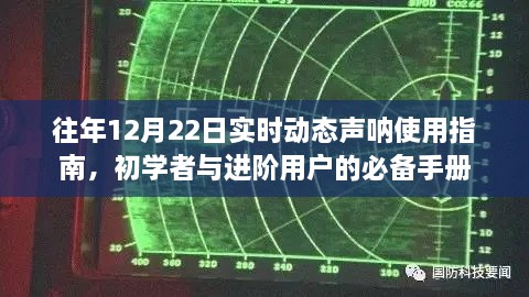 声呐使用指南，从初学者到进阶用户，掌握往年12月22日实时动态操作手册