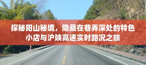 探秘阳山秘境，特色小店与沪陕高速实时路况之旅