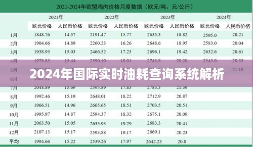 2024年国际实时油耗查询系统深度解析