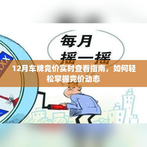 12月车牌竞价动态一览，实时查看指南与竞价掌控技巧