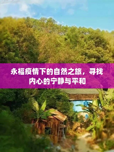 永福疫情下的自然之旅，探寻内心宁静与平和