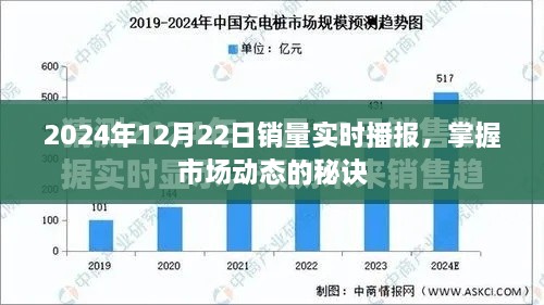 掌握市场动态的关键，实时播报销量数据（2024年12月22日）