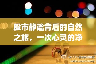 股市静谧背后的自然之旅，心灵净土的探寻之旅