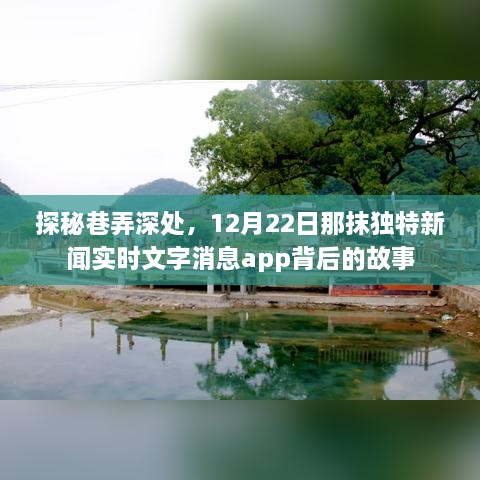 探秘巷弄深处的新闻实时文字消息app背后的故事，12月22日独特事件揭秘