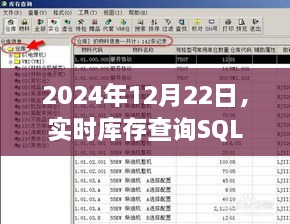 实时库存查询SQL深度探索及其影响，2024年12月22日